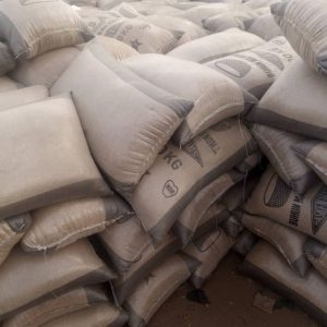 KANOL PADDY RICE